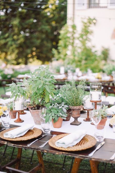 Backyard December Wedding, Wedding Herbs, Centerpieces Aesthetic, Herb Wedding Centerpieces, Herbs Wedding, Herb Centerpieces, Herb Wedding, Plant Centerpieces, Italian Inspired Wedding