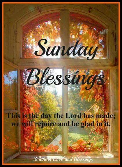 Love my Sundays!! Very special Sunday coming up!! Thanking God for all our Blessings!! Blessed Sunday Quotes, Blessed Sunday Morning, Happy Sunday Images, Good Morning Sunday Images, Sunday Morning Quotes, Sunday Greetings, Good Sunday Morning, Sunday Wishes, Sunday Blessings