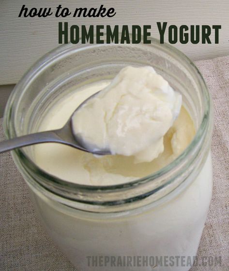 How to Make Yogurt | The Prairie Homestead Homemade Yogurt Recipes, The Prairie Homestead, Prairie Homestead, Homemade Greek Yogurt, Making Yogurt, Yogurt Maker, Homemade Yogurt, Homemade Cheese, Yogurt Recipes