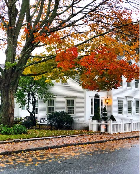 5 Favorite Fall Connecticut Towns to Visit | Kristy & New England Old New England Homes, Fall In Connecticut, Nantucket Hotels, 20 Years Of Marriage, Bare Trees, Happy November, Colonial Exterior, New England Travel, Bare Tree