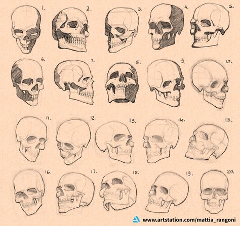 100 Figure Drawing Challenge, Drawing The Skull, Skeleton Expressions, Skull Art Reference, Skull Expressions, Skull Anatomy Drawing Study, Skull Perspective, Skull Drawing Reference, Skull Diagram