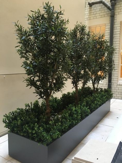 Projects — Fake It Flowers Evergreen Planters, Bamboo Hedge, Artificial Green Wall, Door Planter, Artificial Topiary, Outdoor Sitting Area, Topiary Garden, Fake Trees, Outdoor Trees