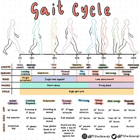 Physiotherapy Cheat Sheet, Physical Therapy Books, Exercise Physiology Notes, Pt School Notes, Physical Therapy Notes, Physical Therapy Assistant Aesthetic, Physical Therapy Student Study, Physiotherapy Notes, Physical Therapy Student Aesthetic