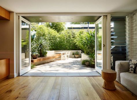 A small courtyard oasis Courtyard Oasis, Indoor Courtyard, Small Courtyard, Small Courtyard Gardens, Courtyard Gardens Design, Courtyard Design, Small Courtyards, Landscape Garden, Contemporary Garden