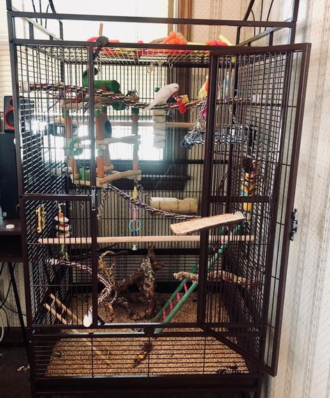 you and me parrot stand cage setup Large Parrot Cage, Conure Cage, Homemade Bird Toys, Budgie Cage, Cockatiel Cage, Diy Bird Cage, Bird Cage Design, Diy Bird Toys, Fish Tank Themes