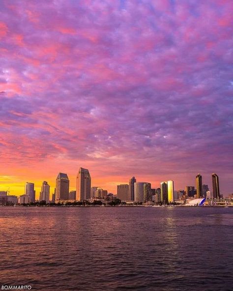 San Diego, California ! | City views 💜

San Diego city | Facebook Downtown San Diego Aesthetic, San Diego California Aesthetic, San Diego Aesthetic, San Diego Downtown, San Diego City, California City, Downtown San Diego, Answered Prayers, City Views