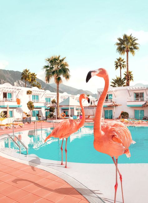 Collectors and Art Lovers. I created an exclusive collection of Signed Limited Editions for you. Florida, was inspired by the bride-pink flamingos, often spotted in murals and decorating the pool areas in many of Miami’s Art-Deco hotels.This giclée print is from a limited edition of 80, the artwork comes hand-signed and numbered. Printed on Hahnemühle Photo Rag Satin 310®. Available in two different sizes. Small: 21.6" x 27.5" Inch (55 x 70 cm) Large: 33.5" x 43.3" Inch (85 x 110 cm) Both sizes Art, Florida, Miami, Paul Fuentes, Flamingo, Throw Blanket, Pool