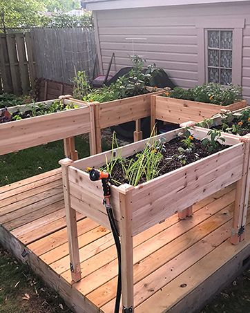 Diy Standing Garden Bed, Elevated Planter Boxes Diy, Above Ground Planters Raised Beds, Veggie Planter Boxes, Garden S, Standing Garden Beds, Standing Planter Boxes, Above Ground Garden Boxes, Herb Planter Ideas Outdoors