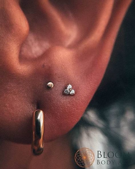 Constalation Ear Piercings, Constalation Piercing, Constellation Piercing, Piercing Ideas For Women, Minimalist Ear Piercings, Constellation Piercings, Ear Peircings, Cool Ear Piercings, Multiple Piercings