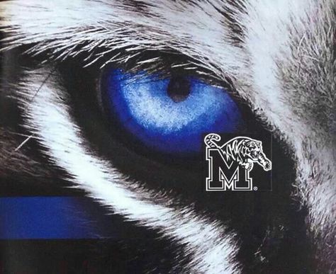 Memphis Tigers Football, Tiger Football, Memphis Tigers, College Football, Tigers, Homecoming, Football, Wallpapers, Art