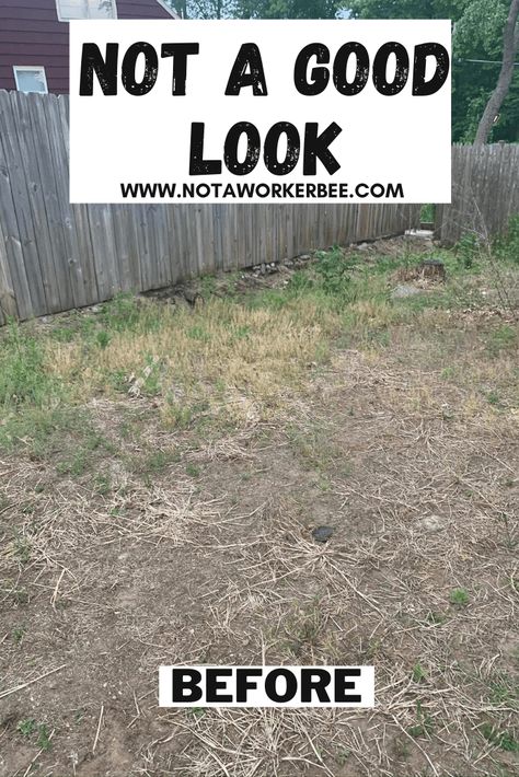 My Amazing $30 Yard Makeover Tutorial - Not a Worker Bee Leveling Yard, No Grass Yard, Mulch Yard, Grass Edging, Cool Things To Build, Yard Makeover, Cheap Landscaping Ideas, Mulch Landscaping, Deck Makeover