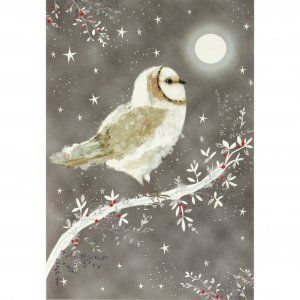 Perched atop a holly-bedecked branch, a barn owl ponders the winter halo of the moon.<br><ul><li><b>Premium mini greeting card set includes 20 cards and 21 envelopes.<li>Cards are small -- they measure 3-1/2'' wide x 5'' high.<li>Quality card stock takes pen beautifully.</b><li>Greeting: <b>Wishing you peace and joy throughout the season</b></b><li>Soft warm-gray card gleams with touches of silver foil.<li>Red holly berries and the full moon ''pop'' with shining gloss accents.<li>A portion of th Owl Christmas Card, Boxed Holiday Cards, Owl Post, Owl Card, Boxed Christmas Cards, Christmas Owls, Sky Design, Greeting Card Set, Night Owl