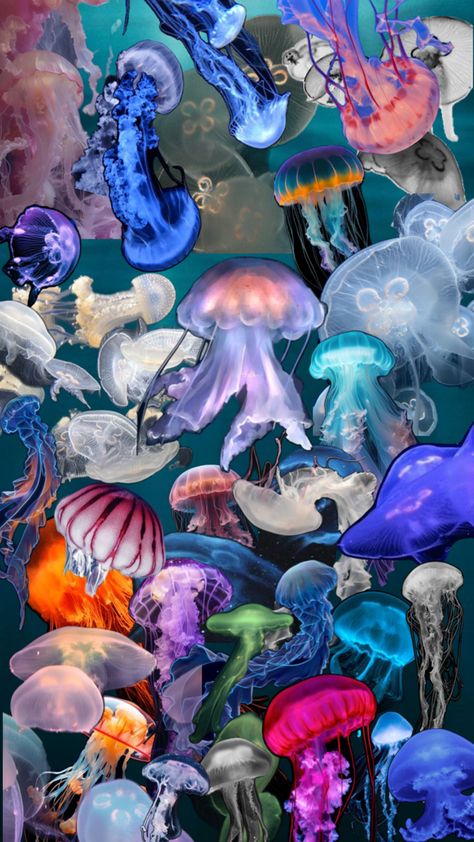 Медузи Jellyfish Collage, Collage Wallpaper, I Wallpaper, Scenery Wallpaper, Jellyfish, Phone Wallpaper, Collage, Animals