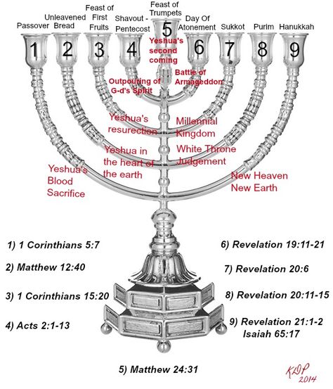 The Messianic Prophetic Branches of the Hanukkah Menorah and the first Seven are the appointed Feasts of Elohim. The first four have been fulfilled. Jewish Beliefs, Jewish Feasts, Messianic Judaism, Messianic Jewish, Menorah Candles, Revelation Bible, Biblical Hebrew, Bible Study Topics, Bible Study Help