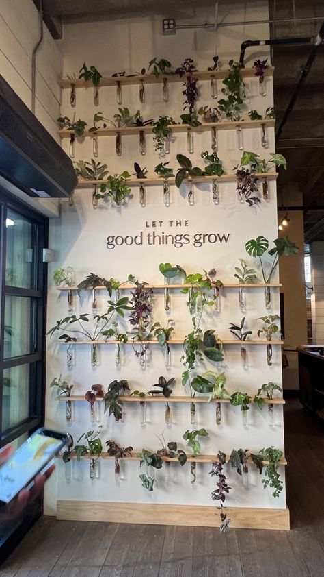 Plant Wall Salon, Cozy Salon Ideas, Plant Nursery Ideas, Plant Wall Ideas Indoor, Propagation Wall, Tanaman Air, Forest Bedroom, Wall Hanging Decorations, Trellis Garden