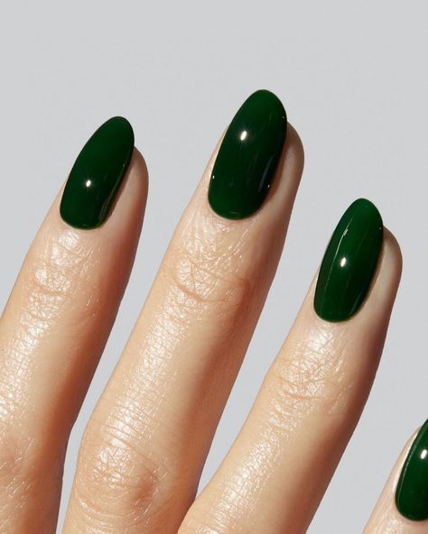 @iamgelcare on Instagram: “EMERALD G-065 — A rich but jelly green. Glistens like an emerald.” Emerald Green Jelly Nails, Dark Green Jelly Nails, Emerald Green Nails With Gold, Dark Emerald Green Nails, Green Jelly Nails, Deep Green Nails, Gel Nails Green, Color Palette Emerald Green, Lola Core