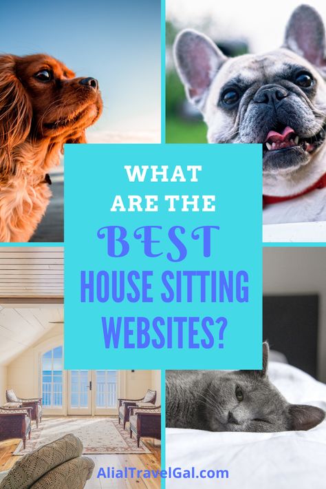 Ever thought about House Sitting but not sure where to find House Sitting jobs? Find out which are the Best House Sitting Websites to join.  Includes details and reviews of the Best House Sitting websites, for worldwide House Sitting and for country specific House Sitting. House Sitting Jobs, Solo Travel Tips, House Sitting, Budget Travel Tips, Good House, Packing Tips For Travel, Travel Lover, Digital Nomad, Culture Travel