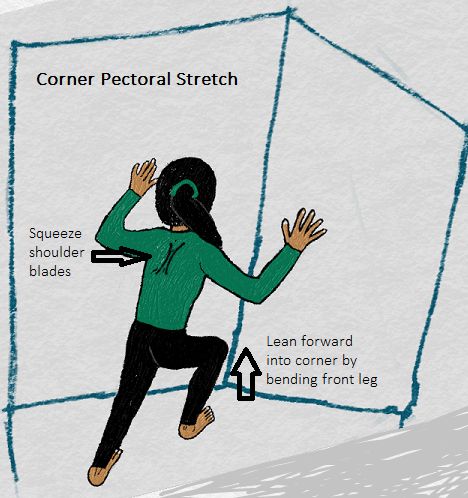 Pectoral Stretch - StableMovement Physical Therapy Pectoral Stretches, Pectoralis Major, Serratus Anterior, Bow Pose, Pectoral Muscles, Foam Rolling, Mat Exercises, Physical Therapy, Moving Forward