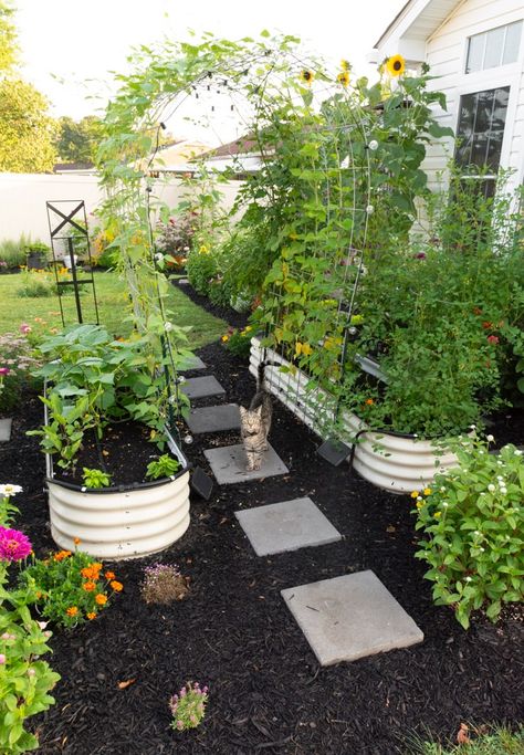 Raised Garden Beds Along Fence Backyards, Planter Box Gardens, Oval Raised Garden Bed, Vego Garden Layout Ideas, Backyard Landscaping With Garden Beds, Garden Without Raised Beds, Raised Garden Bed Walkway, Garden Bed Shade Ideas, Turning Yard Into Garden