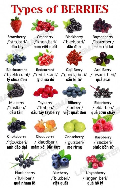 #FruitInspiredSyrupsandToppings Fruits And Vegetables List, Fruits Name In English, Healthy Food Chart, Types Of Berries, Fruit Smoothie Recipes Healthy, Fruit List, Food Infographic, Food Charts, Fruit Carving