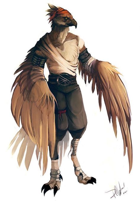 Big ol' D&D inspiration dump (D&Dump) - Album on Imgur Flamingo Aarakocra, Kingdom Inspiration, Npc Art, Bird People, Heroic Fantasy, Pirate Adventure, Dungeons And Dragons Characters, 판타지 아트, Creature Concept