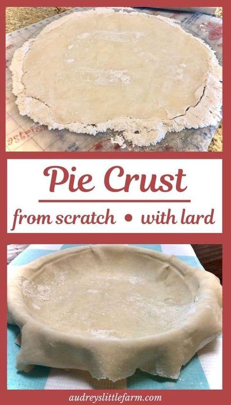 Butter Pie Crust Recipe, Lard Pie Crust, No Fail Pie Crust, Best Pie Crust Recipe, Rolled Sugar Cookie Recipe, Butter Pie Crust, Making Pie Crust, Pie Crust From Scratch, Flaky Pie Crust Recipe