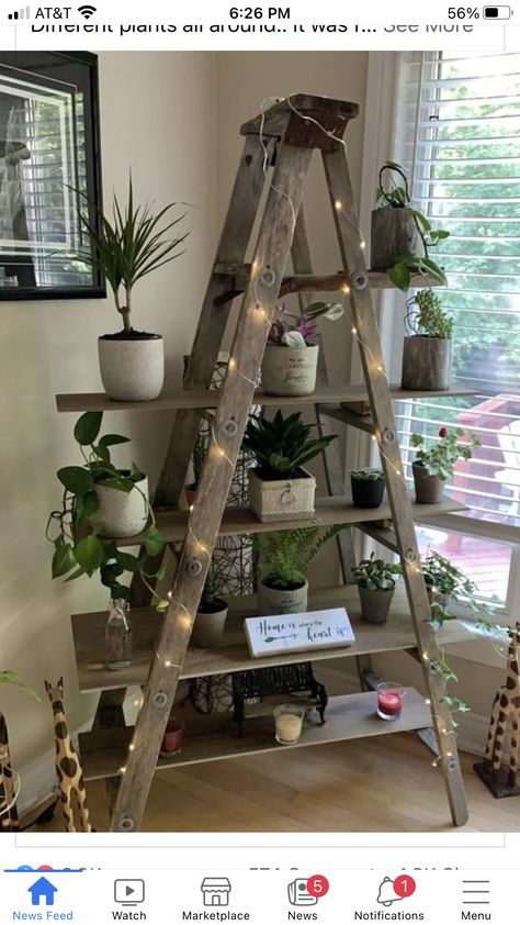 Wooden Ladders Ideas Decor, Old Wooden Ladder Ideas, Wooden Ladder Ideas, Old Ladder Decor, Old Ladder Ideas, Upcycle Ladder, Old Wood Ladder, Ladder Plant Stand, Old Wooden Ladders