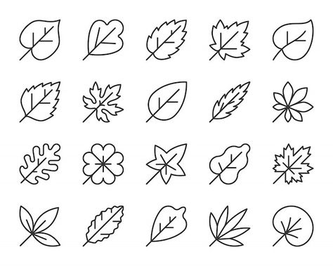 Vector leaf line icon set, autumn foliag... | Premium Vector #Freepik #vector #leaf #leaf-shape #eco-leaf #nature Icon Nature, Vector Leaf, Leaf Symbol, Leaves Doodle, Black Contour, Nature Symbols, Dibujo Simple, Leaf Outline, Simple Signs