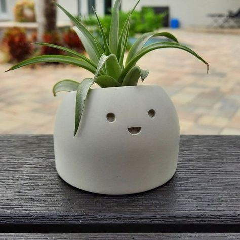 Concrete Succulent Planters, Melbourne Florida, Clay Diy Projects, Tiny Plants, Air Plant Holder, Cute Happy, Ceramics Ideas Pottery, Plant Holder, Happy Face