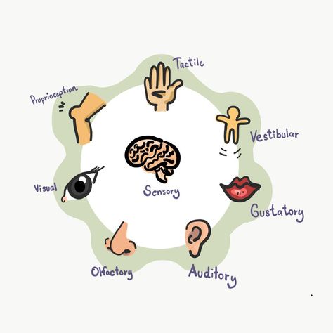 Sensory Processing & Attention Sensory Overload Illustration, 5 Senses Craft, Sensory Details, Sensory System, Sensory Overload, Processing Disorder, Sensory Integration, Sensory Stimulation, Sensory Issues