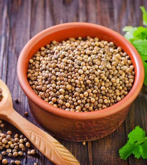 Coriander Seeds Benefits, Coriander Benefits, Health Benefits Of Coriander, Benefits Of Coriander, Coriander Seed, Seeds Benefits, Prevent Hair Fall, Green Tea Benefits, Low Blood Sugar