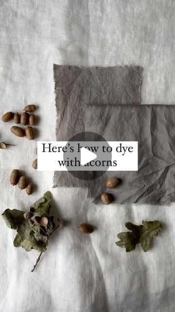 Rebecca Desnos 🌿 Natural Dyeing on Instagram: "✍️ Comment the word “GUIDE” and I’ll send you a link to grab my free guide on foraged dyes 🐿️🍃

It’s the season for acorns 😍

All parts of the oak tree are rich in tannins and can be used for natural dyeing; the leaves, acorns, acorn caps, galls and bark 🐿️

The real magic happens when you add rust — the brown colour changes to grey, or even black.

Here are another freebie that I think you’ll like:

💌 Comment “KIT”, and I’ll send you a guide to all the must-have equipment for starting your plant dye journey (it’s all secondhand & sustainable stuff!) 🌿" Natural Dyes For Fabric, Acorn Dye, Acorn Caps, Real Magic, Creative Textiles, Natural Dyeing, Plant Dyes, Brown Colour, Oak Tree