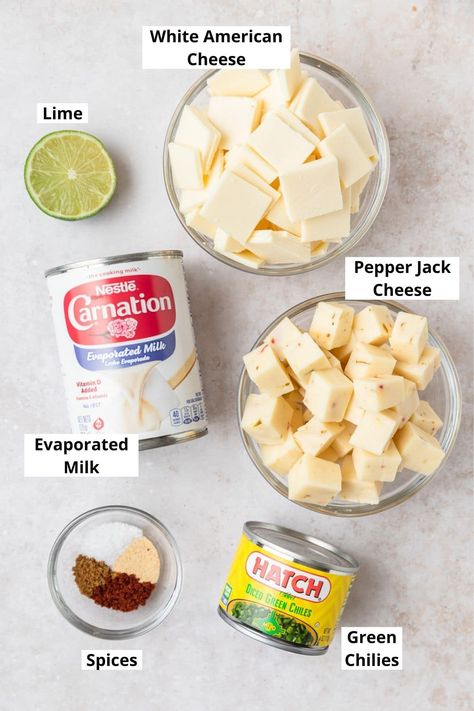 Crockpot White Queso, White Queso Dip Recipe, Queso Dip Recipe, White Queso Dip, White Queso, Queso Dip Recipes, Dip Recipes Easy, Queso Dip, Snacks Für Party