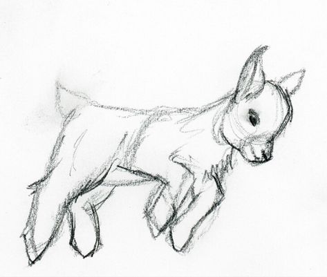 Cute Goats Drawing, Goat Sketch Drawings, Dear Drawing Easy, How To Draw A Goat, Farm Animal Sketches, Goat Drawing Sketch, Goat Tattoo Cute, Baby Goat Tattoo, Baby Goat Drawing