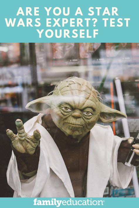 Nerd Quiz, What Star Wars Character Am I Quiz, Star Wars Quizzes, Star Wars Trivia Questions And Answers, Star Wars Questions, Star Wars Quiz, Star Wars Whisper, Hard Questions, Funny Star Wars Memes Hilarious