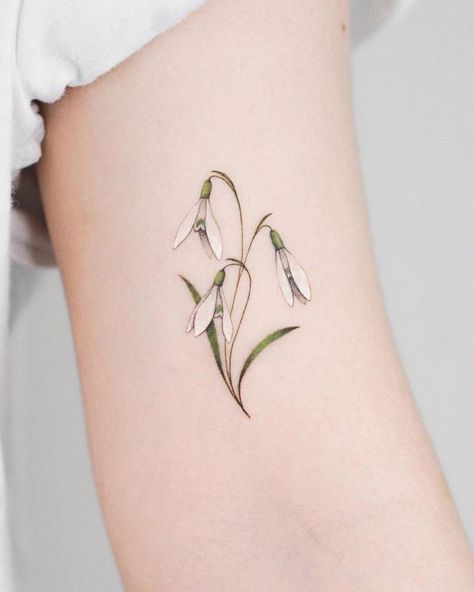 January Birth Flowers Snowdrop 1 Snowdrop Flower Tattoo Designs, Snowdrop Flower Tattoo Color, Snow Drops Tattoo, Snowdrop Tattoo Design, Snow Drop Flower Tattoo, Snowdrop Flower Tattoo, Snow Drops Flowers, January Flower, Winter Tattoo