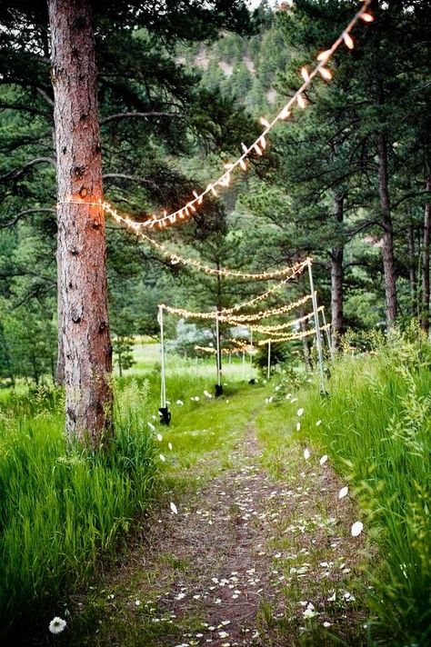 string lights path leading guests to the wedding ceremony Wedding Walkway, Vow Renewal Ceremony, Wedding Vows Renewal, Camp Wedding, Rv Park, Outdoor Wedding Decorations, Woodland Garden, Woodland Wedding, Forest Wedding