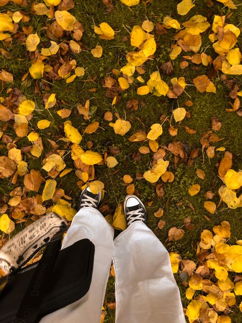 #fall #autumn #höst #sverige #sweden #leaves #leaf #löv #orange #brown #shoes #wallpaper #aesthetic #halloween #fallaestheticbackground #fallaesthetic Shoes Wallpaper Aesthetic, Wallpaper Aesthetic Halloween, Crunchy Leaves, Shoes Wallpaper, Aesthetic Halloween, Brown Shoes, Orange Brown, Wallpaper Aesthetic, Fall Autumn