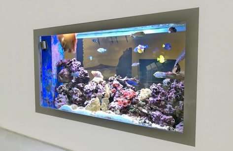 In Wall Aquarium Design & Installation | In Wall Fish Tank UK Specialist Fish Tank Design Ideas House, Fish Tank Wall Aquarium Design, Fish Tank Wall Ideas, Fish Tank On Wall, Wall Fish Tank Ideas, Fish Tank In Wall, In Wall Aquarium, Wall Aquarium Ideas, Fish Pots