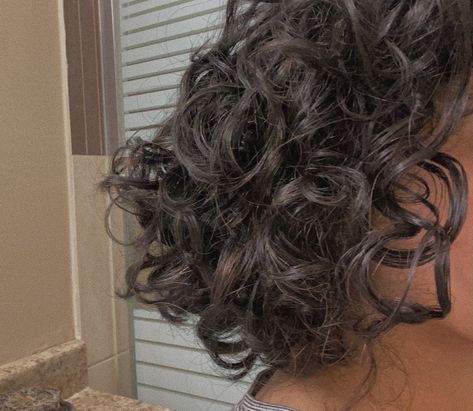 short curly hair bob done with denman brush #curlyhairstyles Healthy Short Curly Hair, Short Curly Brown Hair Aesthetic Faceless, Curly Brown Bob, Short Curly Brown Hair Aesthetic, Faceless Curly Hair, Curly Hair Faceless, Curly Short Brown Hair, Brown Curly Hair Aesthetic, Short Brown Hair Aesthetic