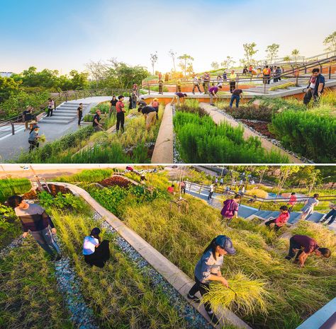 A rooftop farm with a terraced landscape design inspired by rice fields. Landscape Terrace Design, Agriculture Landscape Design, Farm Landscape Design, Terraced Landscape, Playground Landscape, Hard Landscaping Ideas, Orchard Design, Terraced Landscaping, Architecture Drawing Presentation