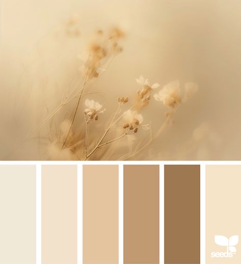 Design Seeds: Nature Tones Inspiration Color Palettes, Seeds Color Palette, Boho Branding, Seeds Color, Nature Color Palette, Cream Tones, Design Seeds, Color Palette Design, Paint Chips