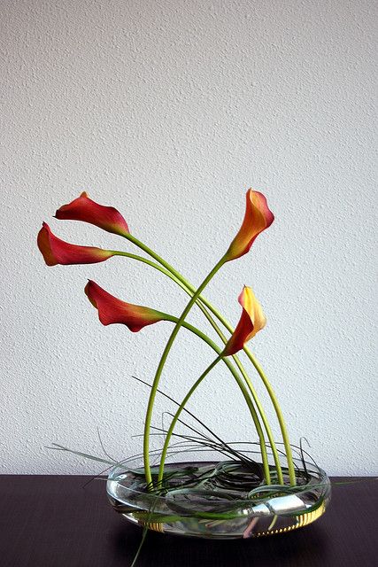 Ikebana 'Friends in orange' by Otomodachi, via Flickr Ikebana Sogetsu, Contemporary Flower Arrangements, Plant Styling, Sogetsu Ikebana, Ikebana Flower, Ikebana Arrangements, Ikebana Flower Arrangement, Modern Flower Arrangements, Bouquet Arrangements