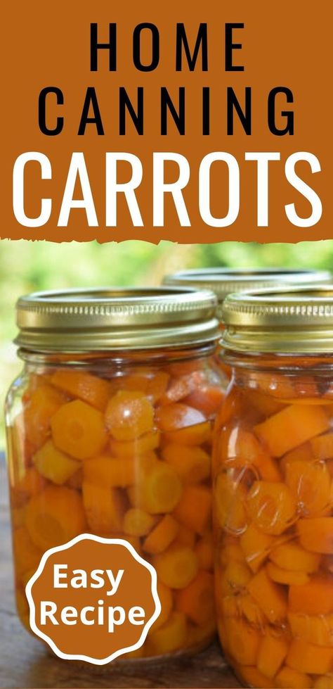 Canned Carrots Recipe, Carrots Canning, Can Carrots, Canning Carrots, Canned Recipes, Canning Veggies, Healthy Canning, Canning Jams, Canning Meat