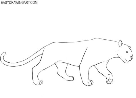 panther animal drawing How To Draw Panther, Panther Animal Drawing, Black Panther Animal Drawing, Continous Line Drawing, Black Panther Animal, Snow Panther, Panther Drawing, Black Panther Drawing, Panther Animal