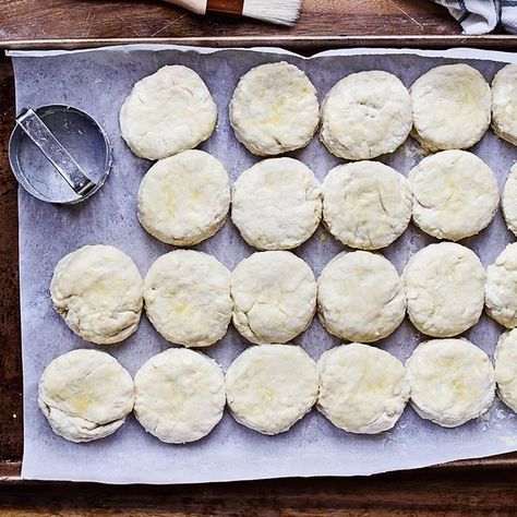 Homemade Buscuits, Homemade Freezer Biscuits, Biscuits Homemade, Whole Wheat Biscuits, Sour Cream Biscuits, Baked Biscuits, Best Biscuit Recipe, Homemade Biscuit, Easy Homemade Biscuits