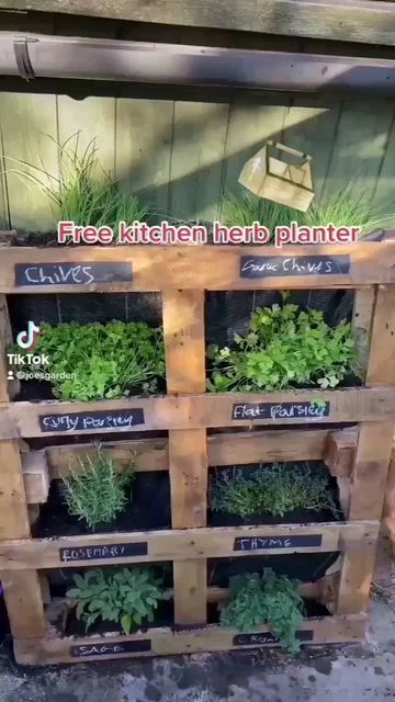 Eyfs Outdoor, Allotment Ideas, Free Pallets, Small Vegetable Gardens, Vegetable Garden Planning, Vegetable Garden Diy, Indoor Vegetable Gardening, Veggie Patch, Backyard Vegetable Gardens