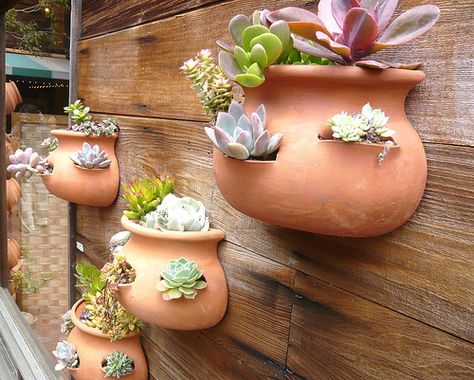 Half Pots On Wall, Modern Gardening, Succulent Wall Garden, Gemüseanbau In Kübeln, Succulent Wall Planter, Strawberry Pots, Gardening Planting, Pottery Pots, Planting Ideas