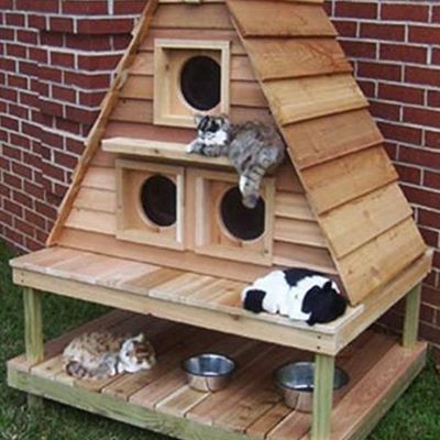 Cat House Plans, Outdoor Cat Shelter, Chat Diy, Kat Diy, Furniture Colors, Pallet Furniture Designs, Pallet Patio Furniture, Outdoor Cat House, Wooden Pallet Furniture