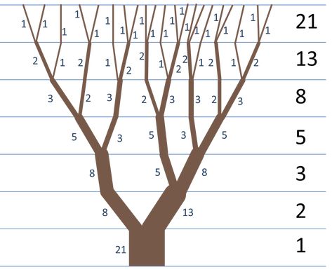 Fibonacci Tree | Botanica Mathematica Fibonacci Sequence Art, Fibonacci In Nature, Fibonacci Sequence In Nature, Fibonacci Art, Maths In Nature, Logarithmic Spiral, Fibonacci Golden Ratio, Geometry In Nature, Fractal Geometry